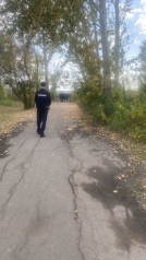 Правоохранители продолжают искать женщину, которая бросила в лесополосе только что рожденного ребенка