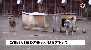 Новости от 17.05.2023