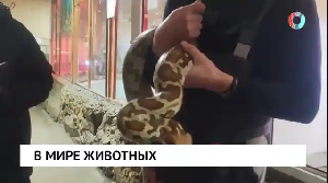 Новости от 30.01.2026 Новости от 30.01.2026