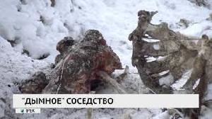 «Дымное» соседство