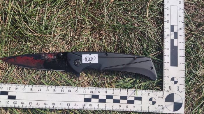 Мужчину, который убил свою жену и попытался покончить жизнь самоубийством, отправят под стражу