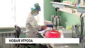 Новости от 02.02.2022