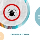 В Омской области клещи покусали уже почти 3 тысячи человек В Омской области клещи покусали уже почти 3 тысячи человек