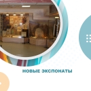 Новые экспонаты