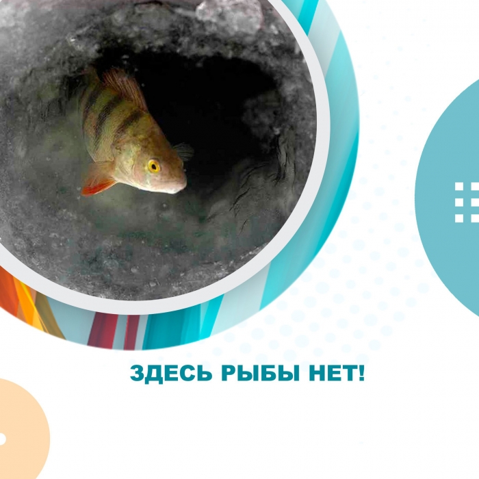 Здесь рыбы нет!