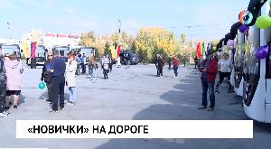 «Новички» на дороге