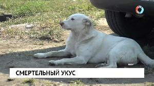 Новости от 15.11.2023