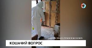 Новости от 21.11.2022