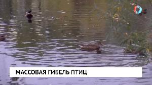 Новости от 19.09.2023