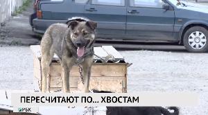 Новости «РБК-Омск» от 29.07.2020