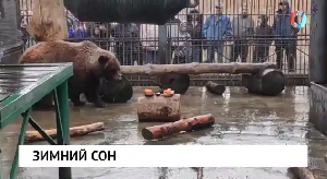 Новости от 12.11.2025