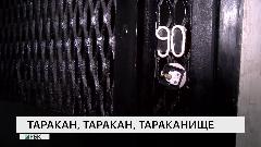 Таракан, таракан, тараканище