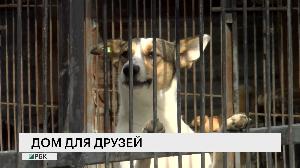 Дом для друзей