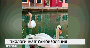 «Экологичная» самоизоляция