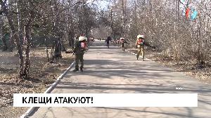 Новости от 03.05.2023