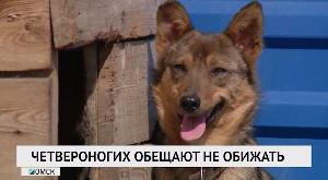 Новости «РБК-Омск» от 29.05.2020