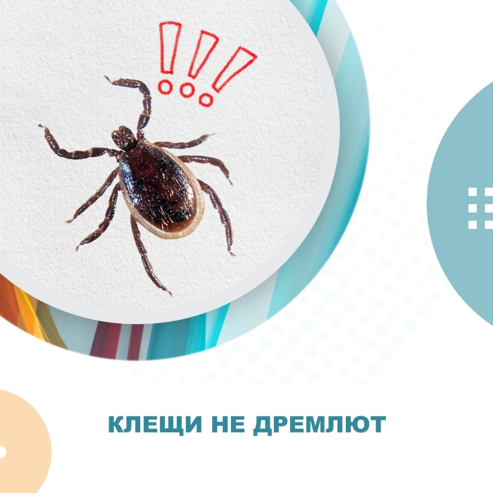 Больше 2,7 тыс. человек пострадали от укусов клещей в Омской области