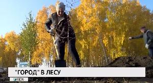 «Город» в лесу