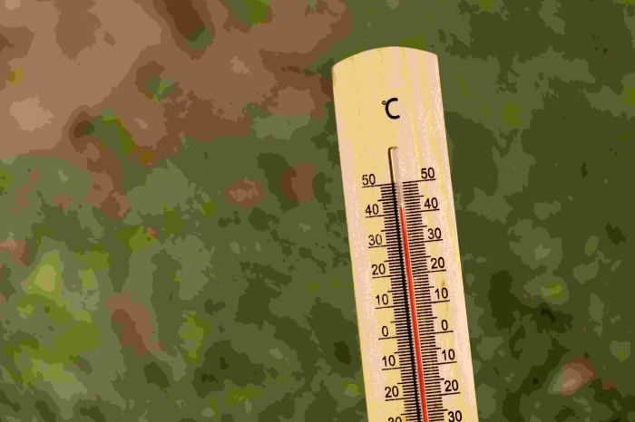  Жара в Омске не отступает.