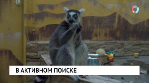 В активном поиске