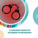 В Омской области осудили браконьера