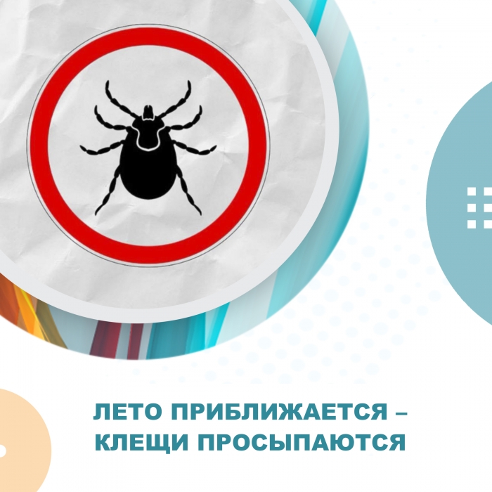 Клещи покусали более 70 омичей