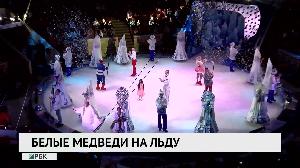 Белые медведи на льду