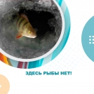 Здесь рыбы нет!