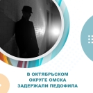 В Омске задержали подозреваемого в совершении действий сексуального характера