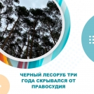 Черный лесоруб три года скрывался от правосудия