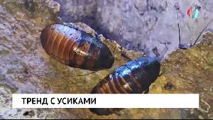 Новости от 11.11.2025